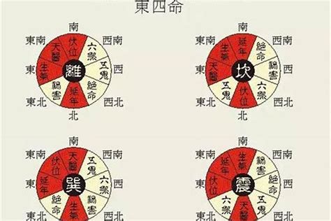 东西四命查询|【收藏备用】东四命西四命速查表：一查便知你是东四。